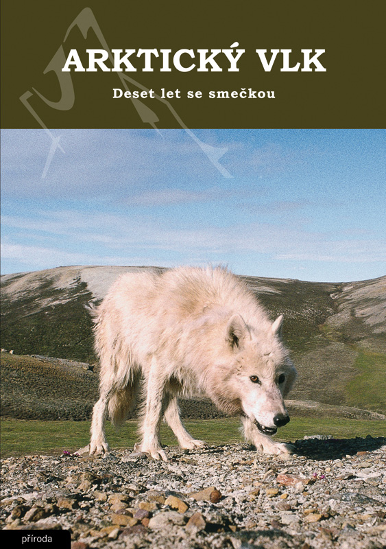 Obálka knihy Arktický vlk / Deset let se smečkou [druhé vydání]
